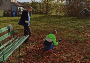 Uczniowie w parku zbierają kasztany do worków.