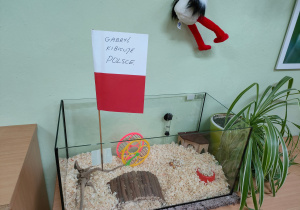 Klasowy chomik Gabryś z biało-czerwoną flagą Polski.