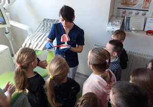 Higienista pokazuje na modelu właściwy sposób mycia zębów.