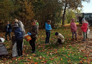 Uczniowie w parku zbierają kasztany do worków.
