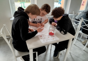 Zdjęcie 3 na 14