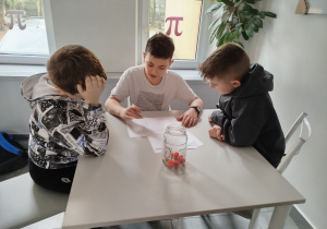 Zdjęcie 5 na 14