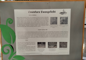 Zdjęcie 9 na 15