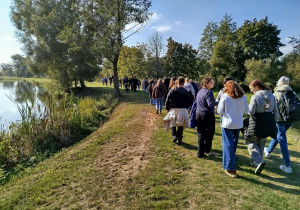 Zdjęcie 15 na 30