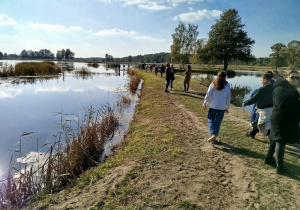 Zdjęcie 17 na 30