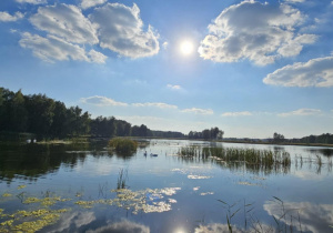 Zdjęcie 27 na 30