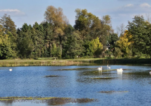 Zdjęcie 29 na 30