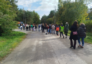 Zdjęcie 3 na 16