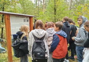 Zdjęcie 12 na 16