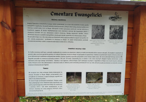 Zdjęcie 14 na 16