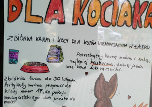 Zdjęcie 1 na 1