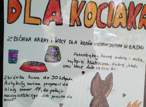 Paka dla Kociaka