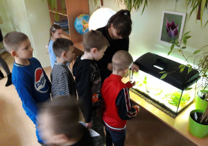 Dzieci karmią rybki w akwarium.