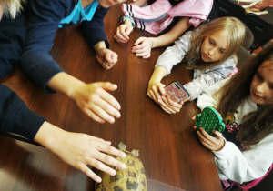 Grupka uczniów dotyka skorupy żółwia siedzącego na stole. Inni robią zdjęcie.